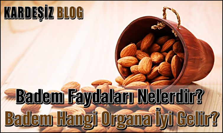 Badem Faydaları Nelerdir