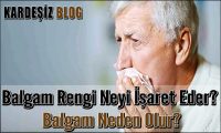 Balgam Rengi Neyi işaret Eder