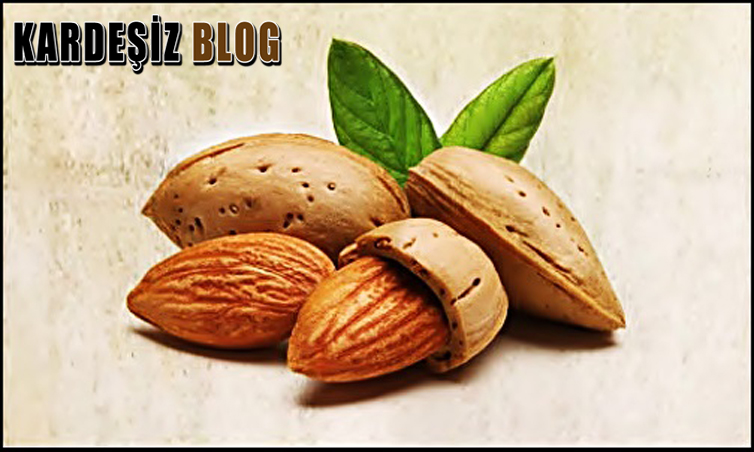 Gece Badem Tüketilir Mi