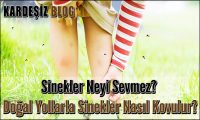 Sinekler Neyi Sevmez