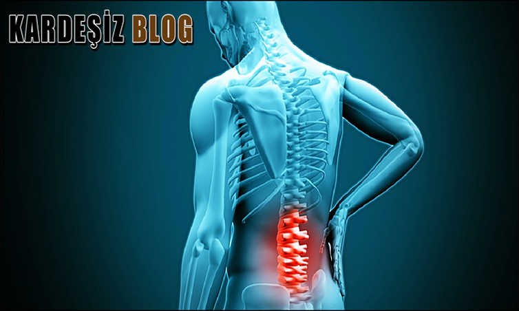 Araknoidit Kendiliğinden Geçer Mi