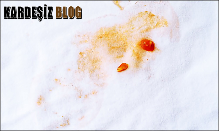 Domates Lekesi En Kolay Nasıl Çıkar