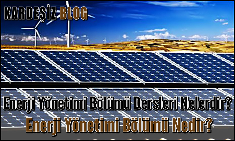 Enerji Yönetimi Bölümü Dersleri Nelerdir