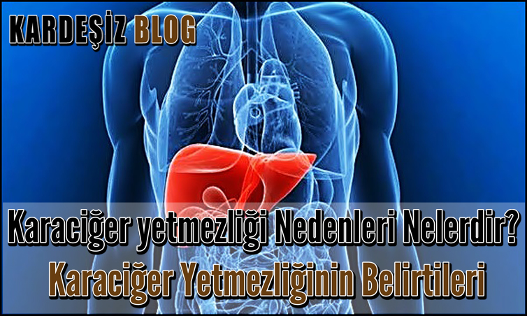 Karaciğer yetmezliği Nedenleri Nelerdir