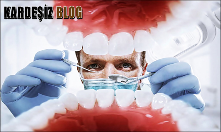 Diş Hekimliği Bölümü Nedir