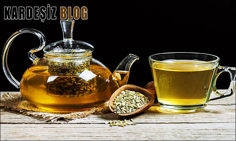 Rezene Çayı Nelere iyi gelir