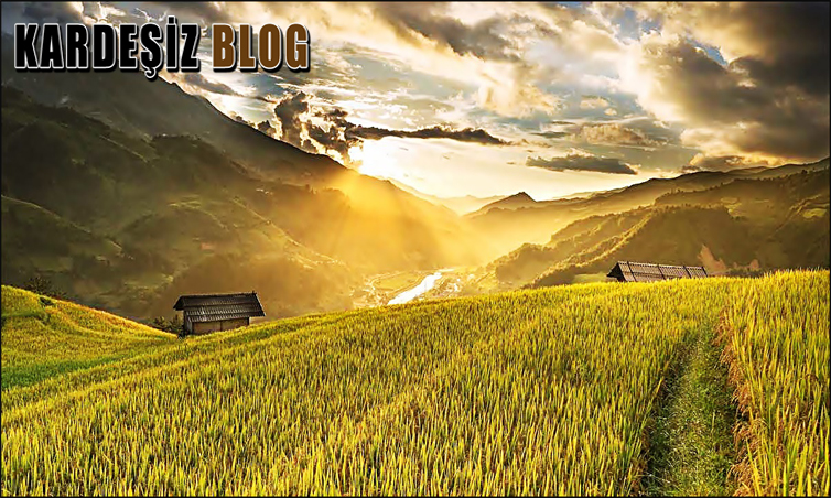 Sıvı kükürt Nerelerde Kullanılır