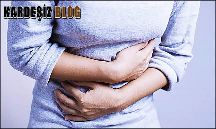 Zollinger Ellison Sendromu En Sık Nerede Görülür