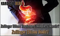 Zollinger Ellison Sendromu Nedenleri Nelerdir