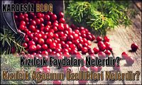 Kızılcık Faydaları Nelerdir
