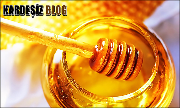 Bal Nasıl Muhafaza Edilir