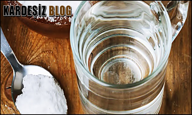 Evdeki Sineklerden Kurtulma Yöntemleri