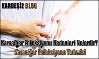Karaciğer Enfeksiyonu Nedenleri Nelerdir