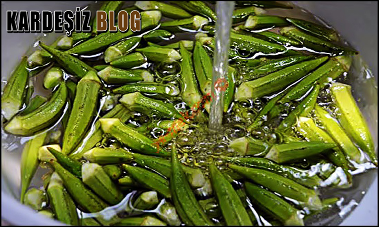 Bamya Saklama Koşulları