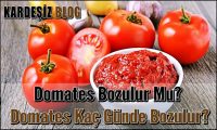 Domates Bozulur Mu