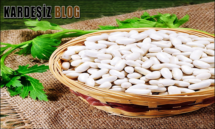 Fasulye Bozulursa Ne Olur