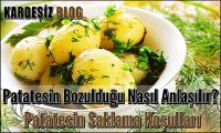 Patatesin Bozulduğu Nasıl Anlaşılır