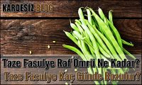 Taze Fasulye Raf Ömrü Ne Kadar