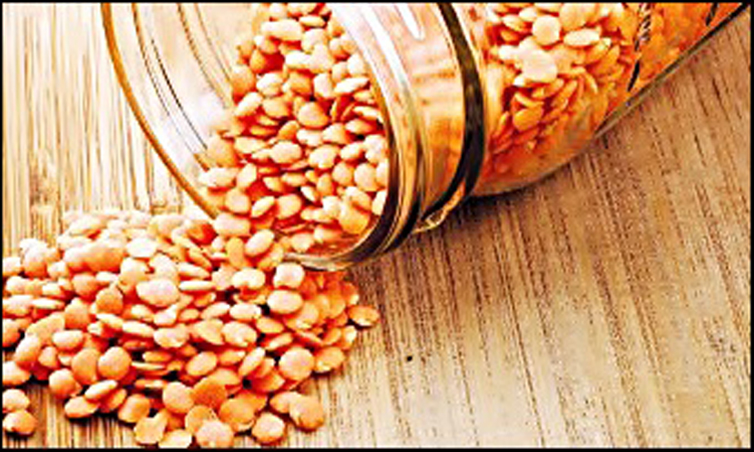 Mercimeğin Bozulma Süreci