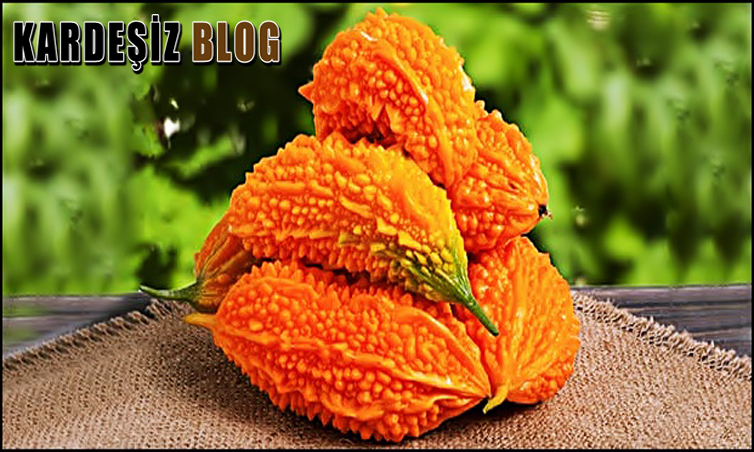 Kudret Narı Ne Kadar Süre Kullanılabilir