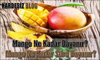 Mango Ne Kadar Dayanır