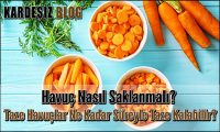 Havuç Nasıl Saklanmalı
