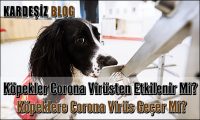 Köpekler Corona Virüsten Etkilenir Mi