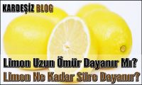 Limon Uzun Ömür Dayanır Mı