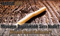 Misvakın Dayanıklılık Sırrı Nedir