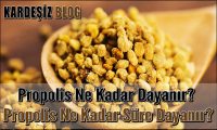 Propolis Ne Kadar Dayanır