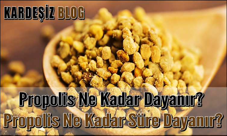 Propolis Ne Kadar Dayanır