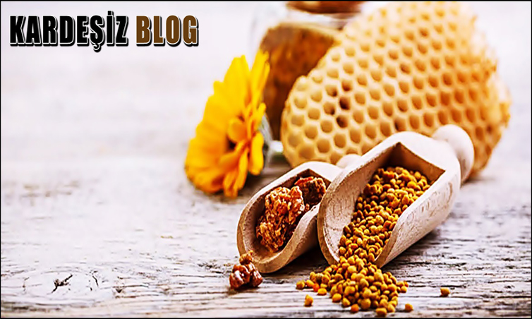 Propolis Ne işe Yarar