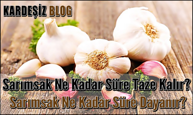 Sarımsak Ne Kadar Süre Taze Kalır