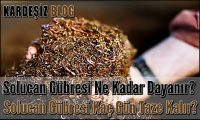 Solucan Gübresi Ne Kadar Dayanır