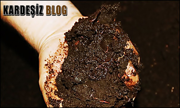 Solucan Gübresi Raf Ömrü Ne Kadar