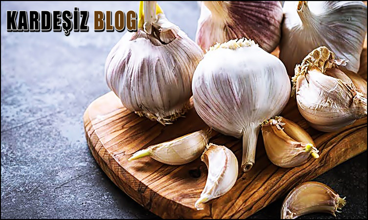 Taze Sarımsak Nasıl Korunur