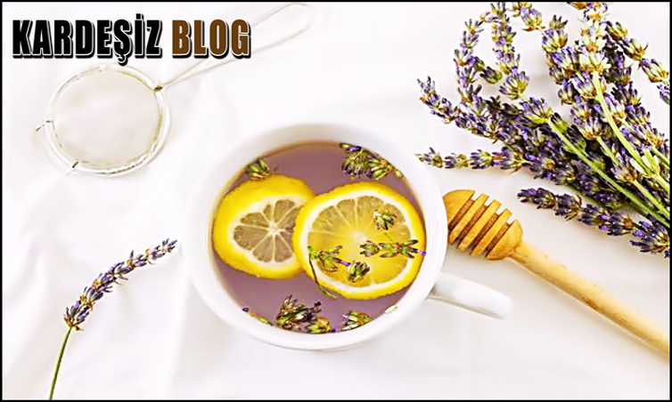 Lavanta Çayını Kimler Tüketmemeli