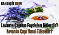 Lavanta Çayının Faydaları Nelerdir