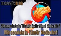 Nöroendokrin Tümör Belirtileri Nelerdir