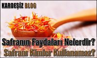 Safranın Faydaları Nelerdir