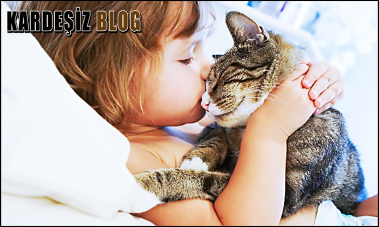 Sevimli Saldırganlık Hastalık Mı