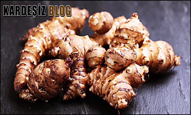 Yer Elması Hangi Hastalığa iyi Gelir