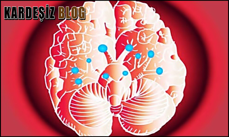 Kranial Sinirler Nedir