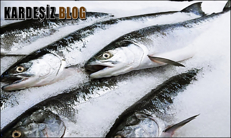 Balık Buzdolabında Ne Kadar Bekleyebilir