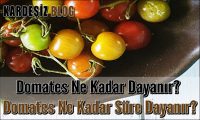 Domates Ne Kadar Dayanır