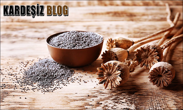 Haşhaş Ezmesi Saklama Yöntemleri