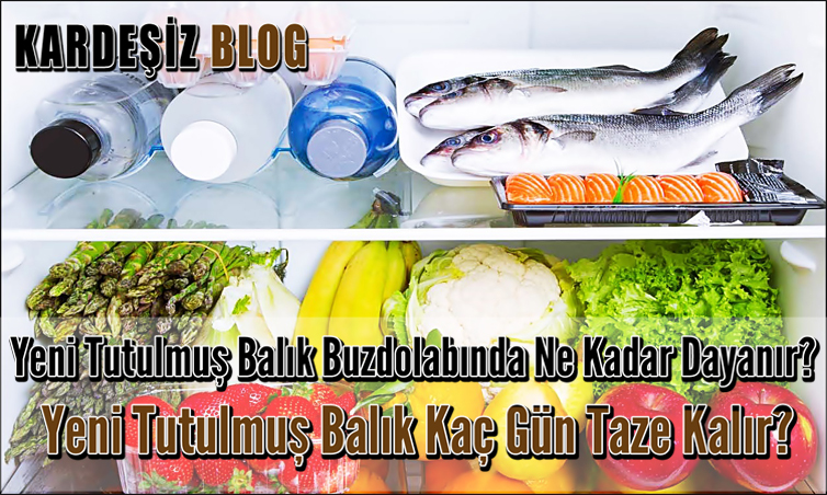 Yeni Tutulmuş Balık Buzdolabında Ne Kadar Dayanır