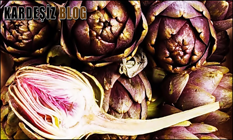 Enginar Suyu Günde Ne Kadar içilmeli