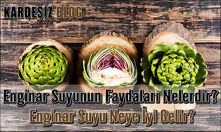 Enginar Suyunun Faydaları Nelerdir