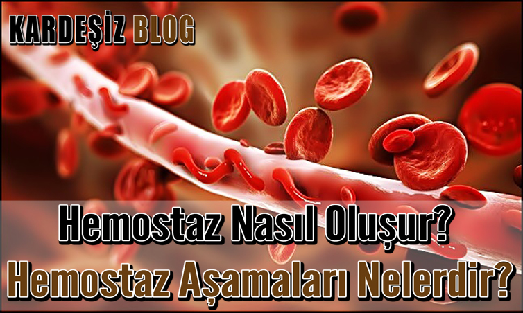 Hemostaz Nasıl Oluşur